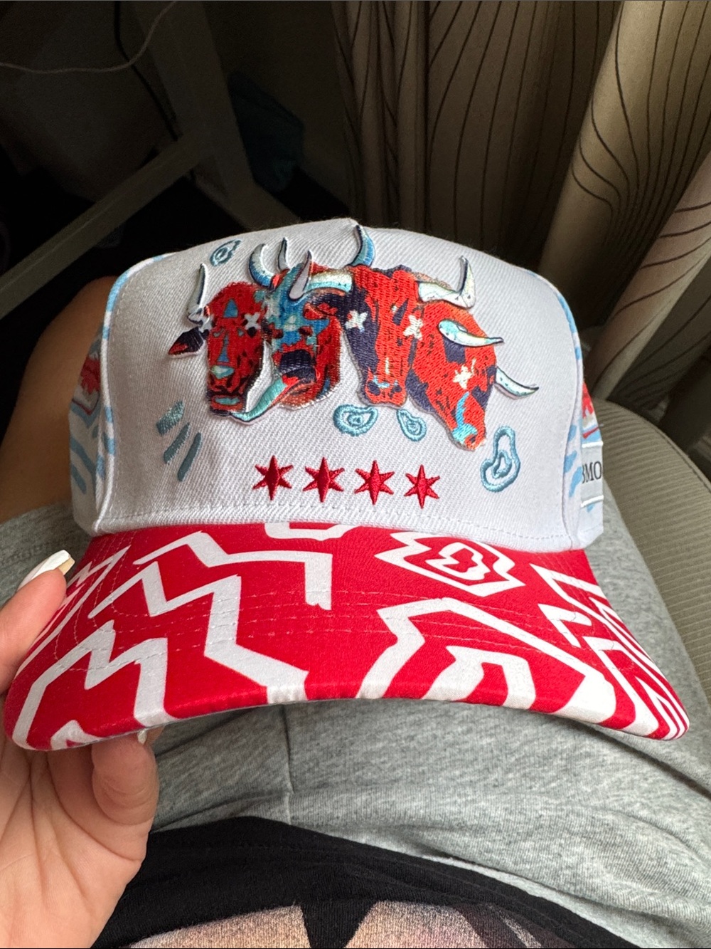 Chicago Bulls Artist Series Hat